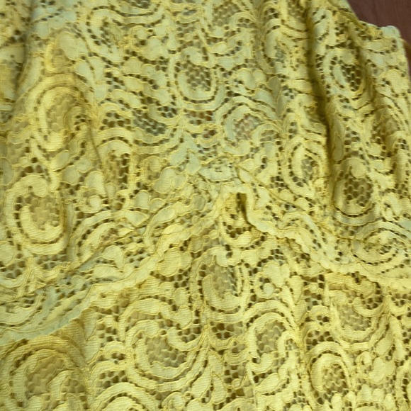 Zara Yellow Lace Overlay Dress - Picture 7 of 12
